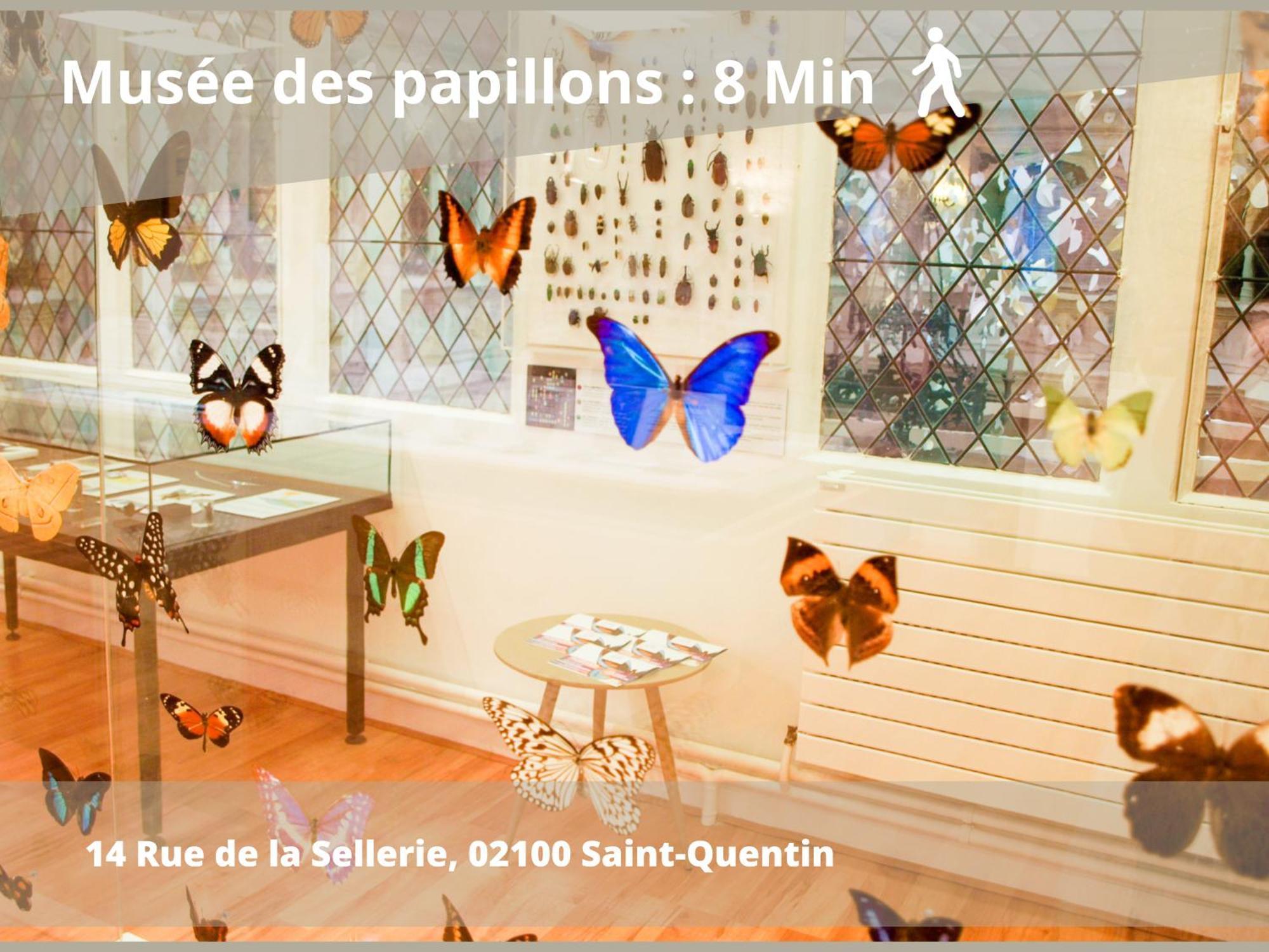 Sq Appart-ment *